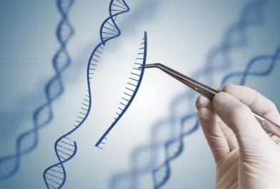 16S rRNA gene sequencing